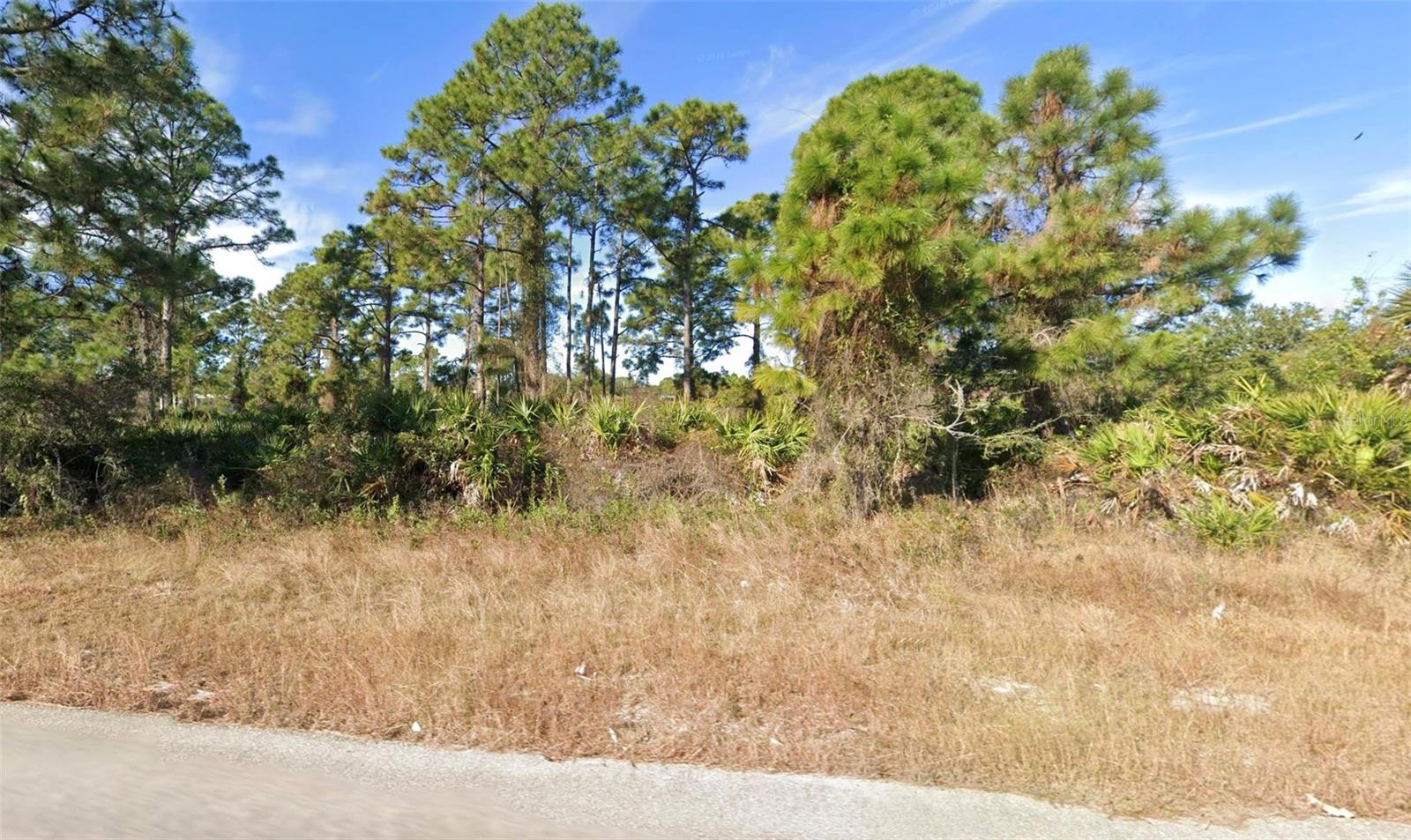 720 PEACOCK AVE, LEHIGH ACRES, FL