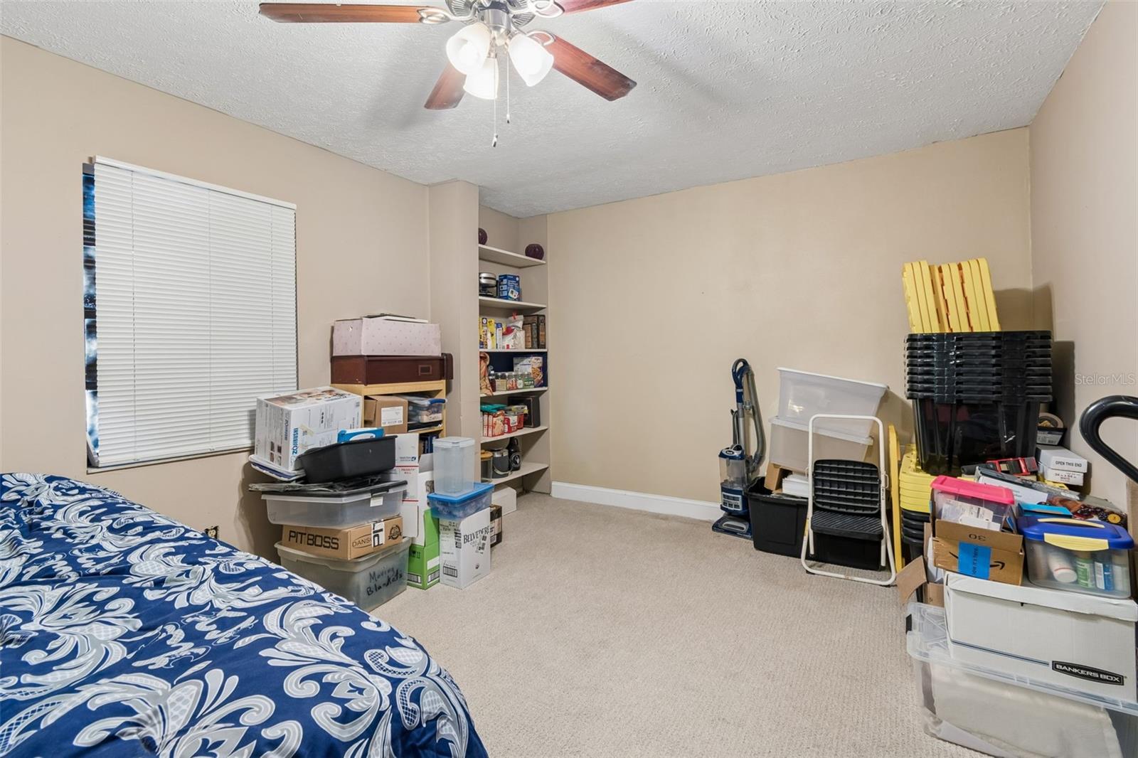 5059 BERNADETTE DR, ZEPHYRHILLS, FL — photo 42