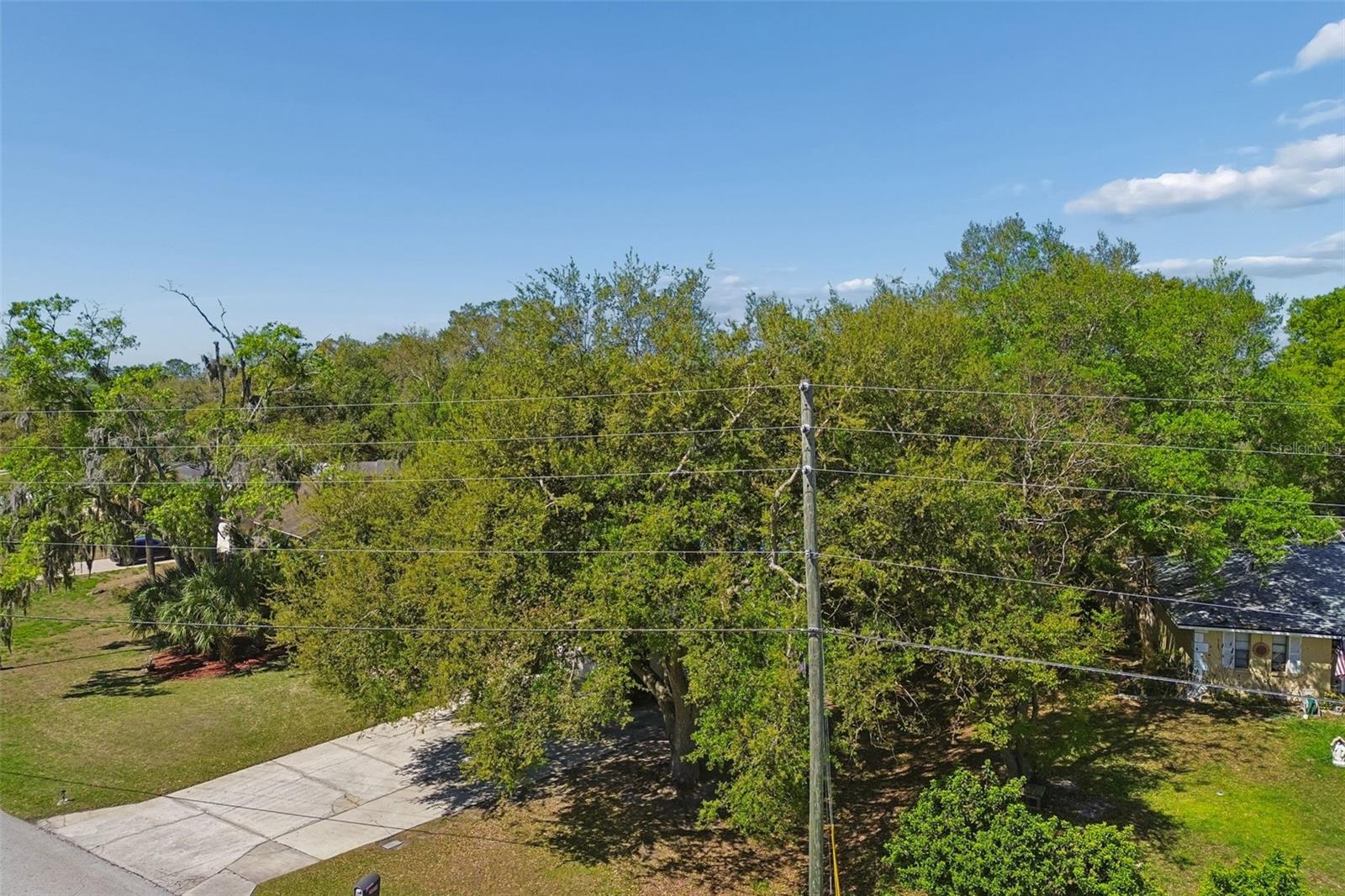 5059 BERNADETTE DR, ZEPHYRHILLS, FL — photo 70
