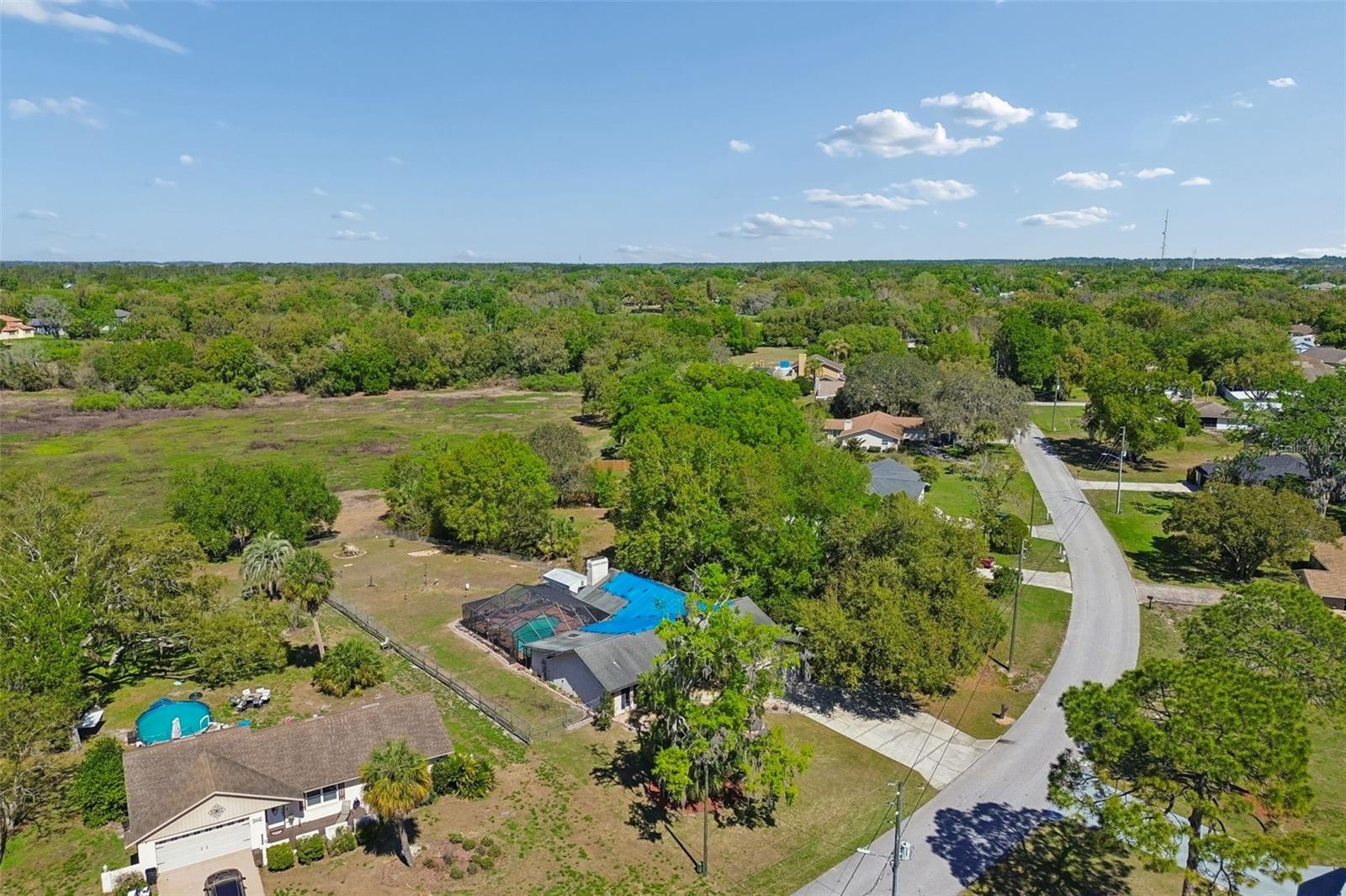 5059 BERNADETTE DR, ZEPHYRHILLS, FL — photo 73