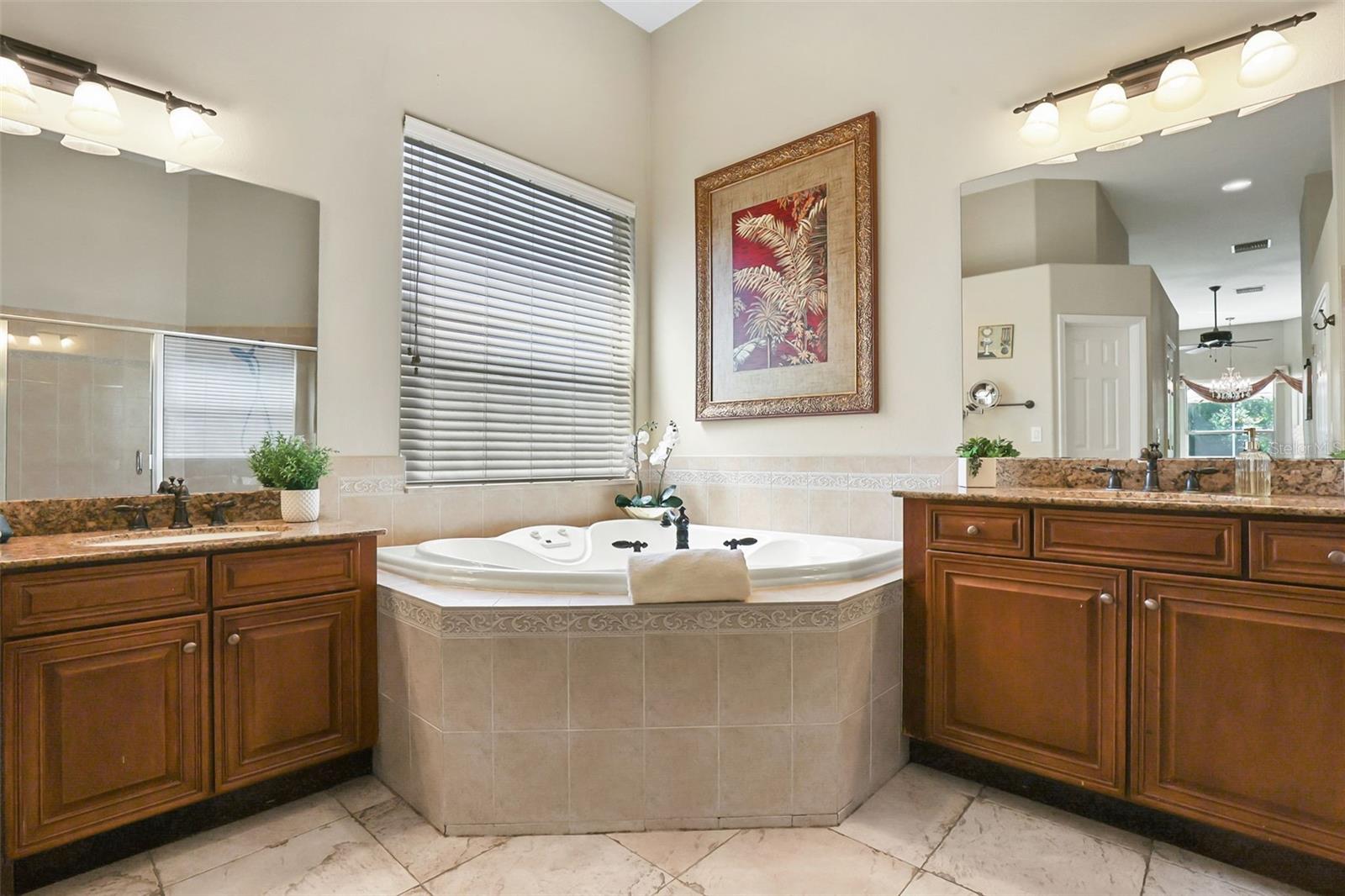27608 PINE POINT DR, WESLEY CHAPEL, FL — photo 26