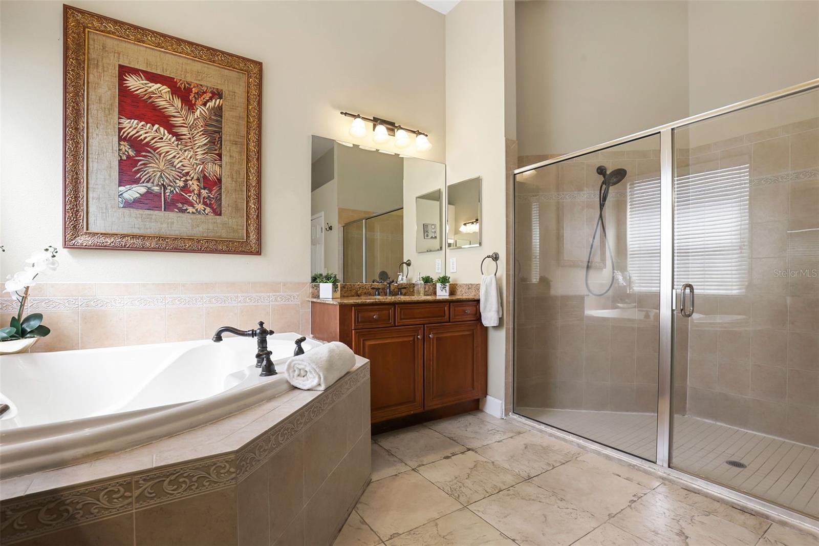 27608 PINE POINT DR, WESLEY CHAPEL, FL — photo 29