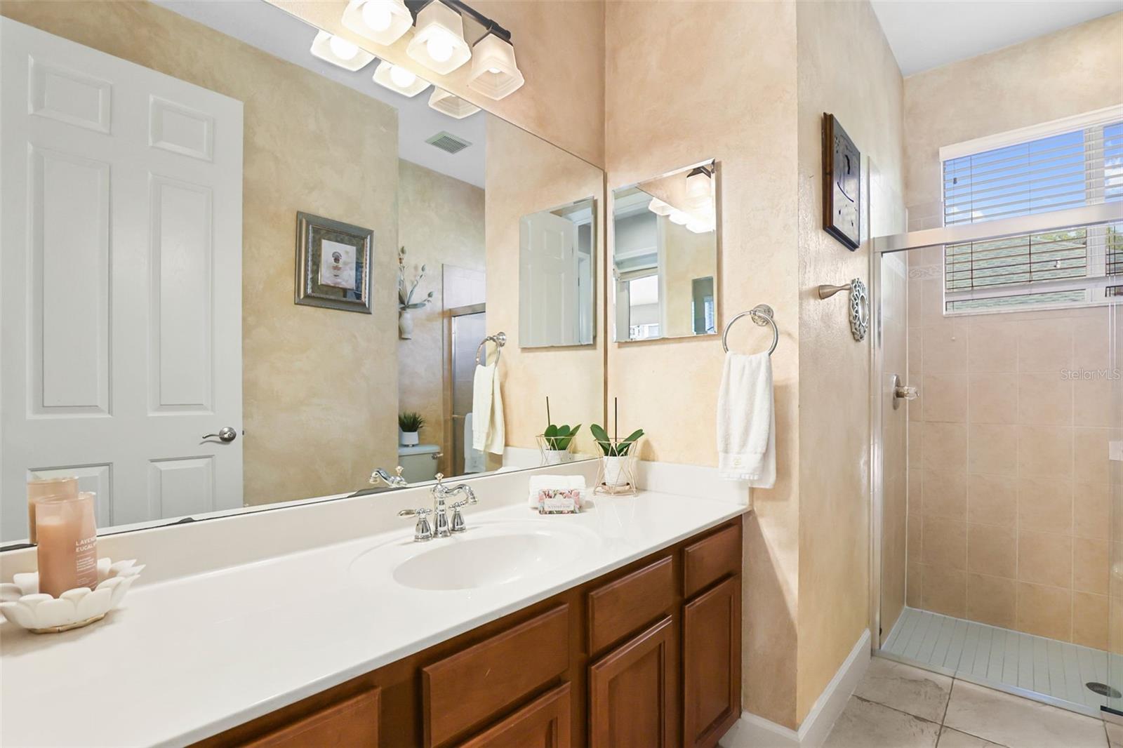 27608 PINE POINT DR, WESLEY CHAPEL, FL — photo 46
