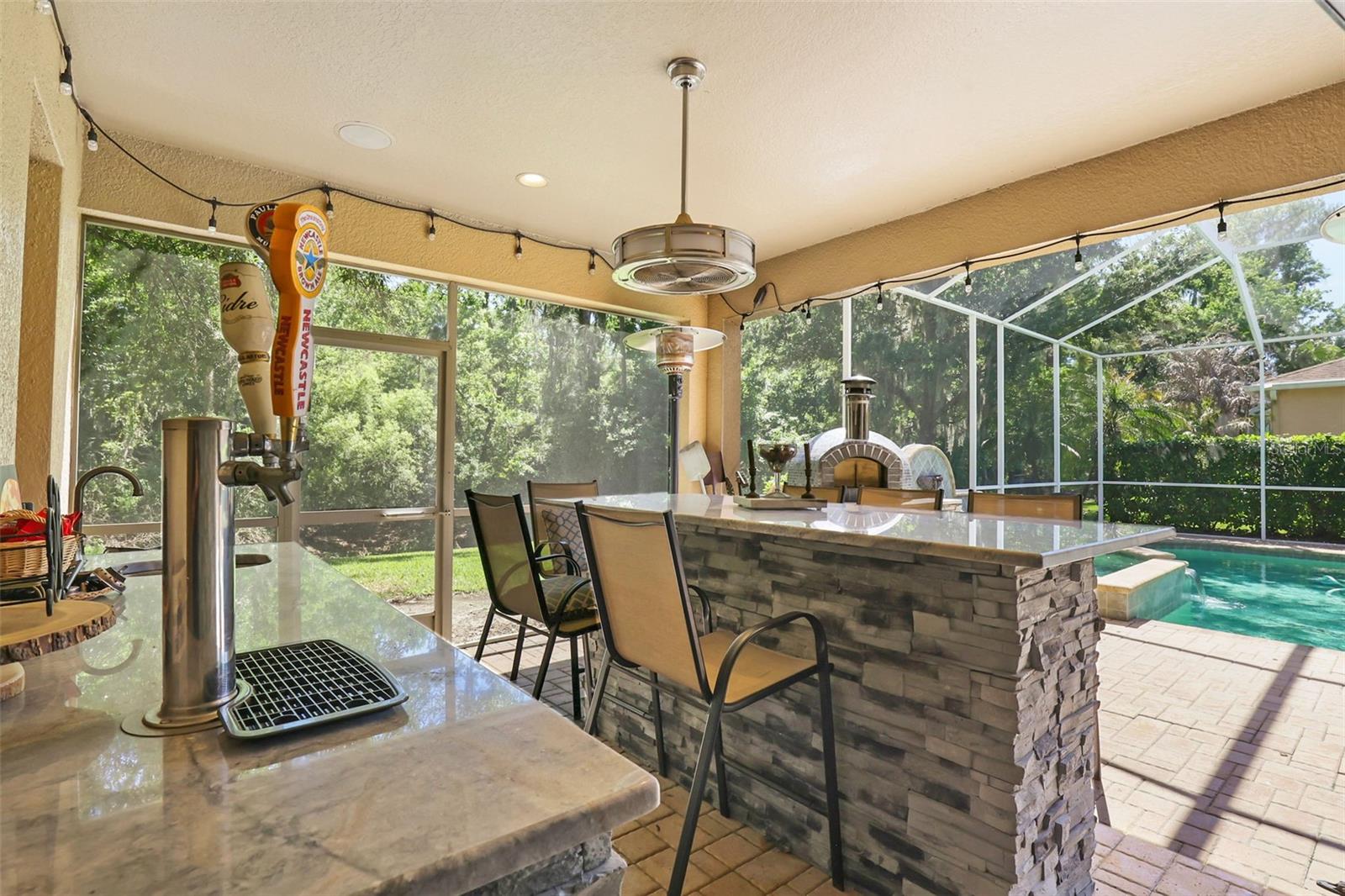 27608 PINE POINT DR, WESLEY CHAPEL, FL — photo 59