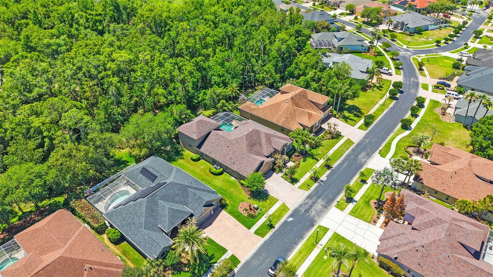 27608 PINE POINT DR, WESLEY CHAPEL, FL — photo 84