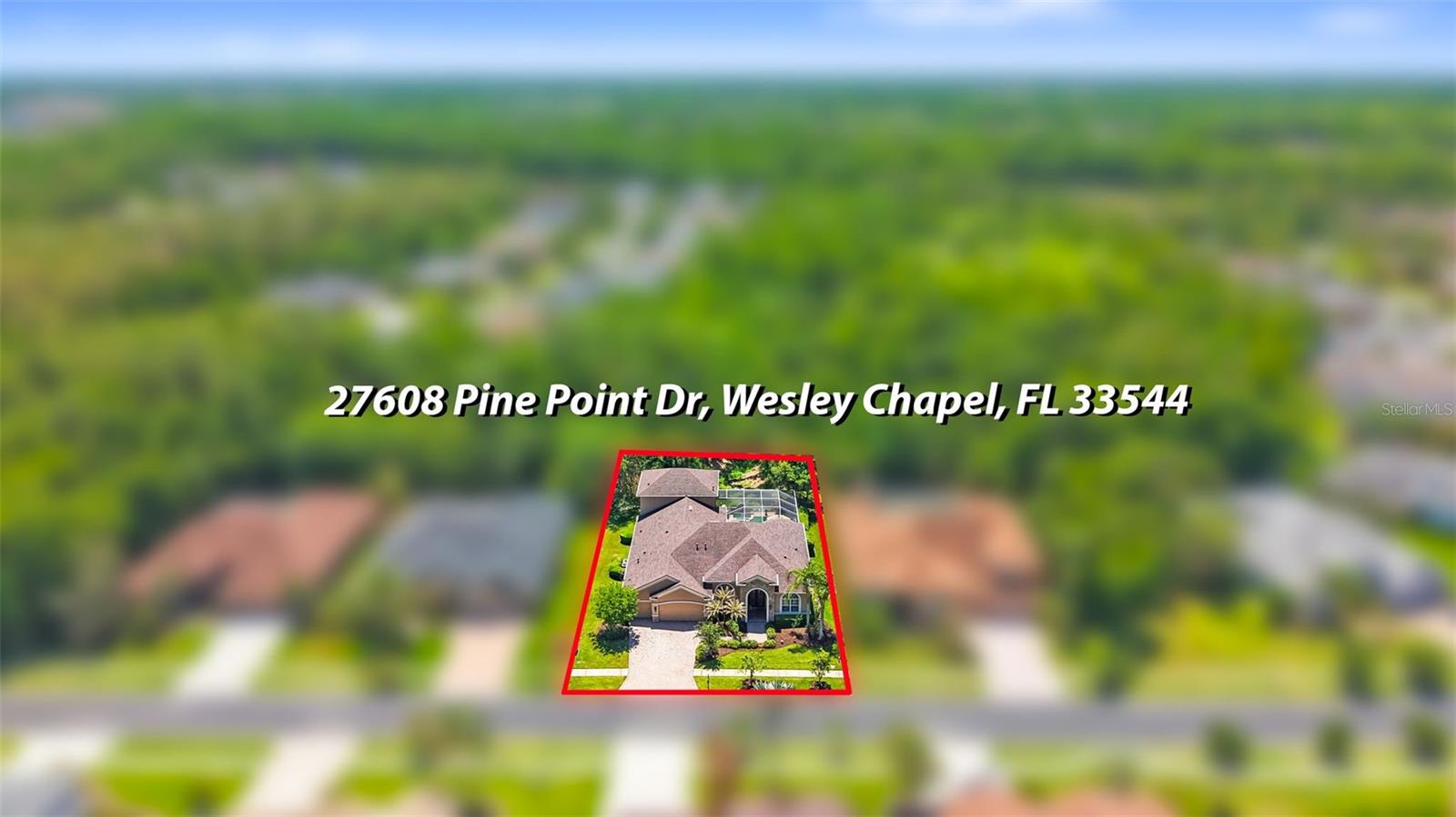 27608 PINE POINT DR, WESLEY CHAPEL, FL — photo 85
