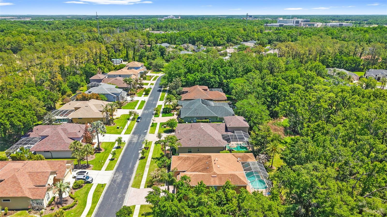27608 PINE POINT DR, WESLEY CHAPEL, FL — photo 86