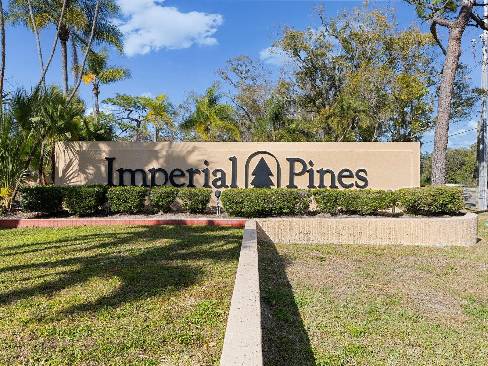3076 EASTLAND BLVD #210, CLEARWATER, FL — photo 3