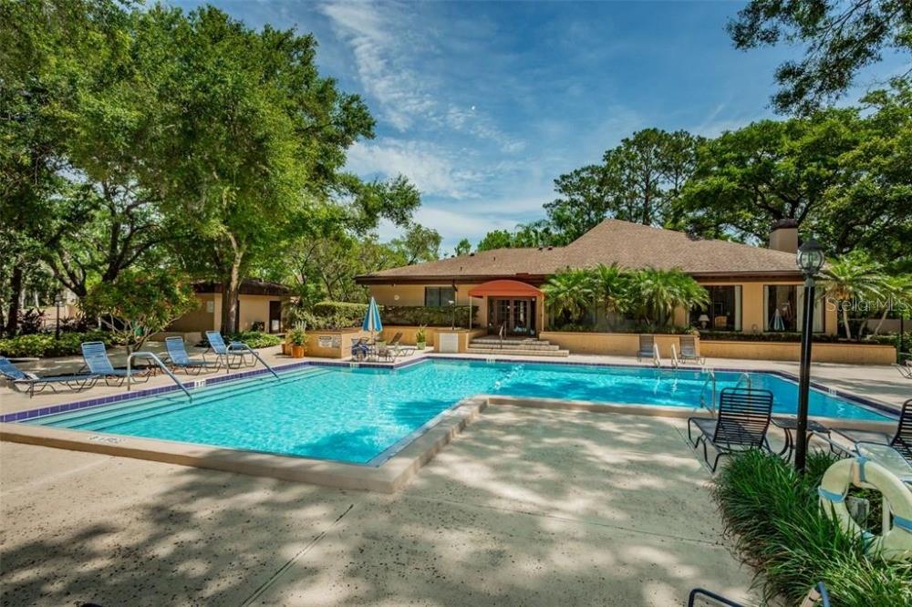 3076 EASTLAND BLVD #210, CLEARWATER, FL — photo 5