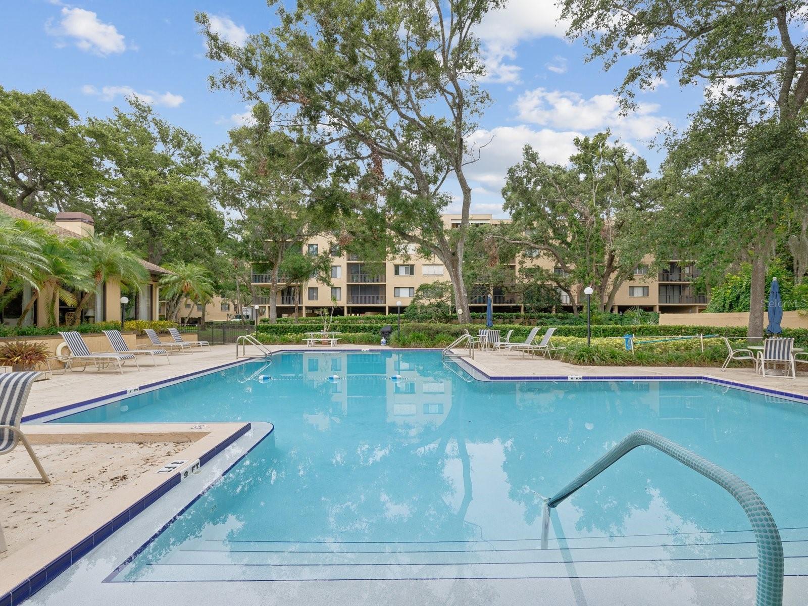 3076 EASTLAND BLVD #210, CLEARWATER, FL — photo 6