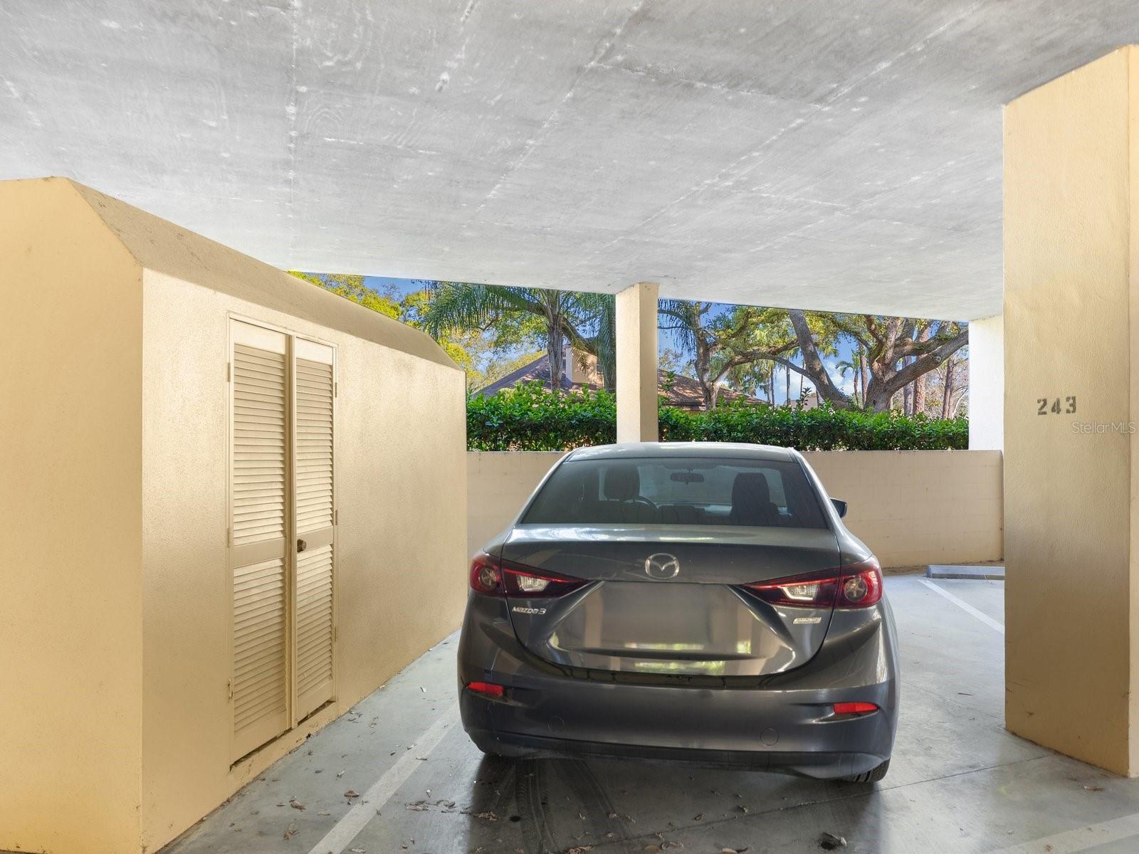 3076 EASTLAND BLVD #210, CLEARWATER, FL — photo 37