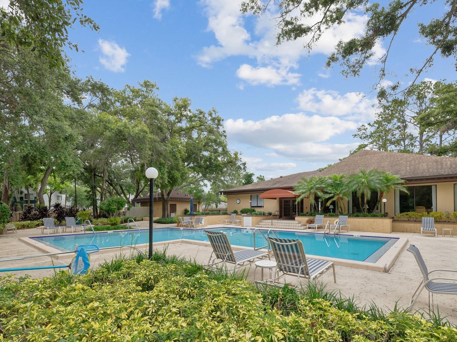 3076 EASTLAND BLVD #210, CLEARWATER, FL — photo 38