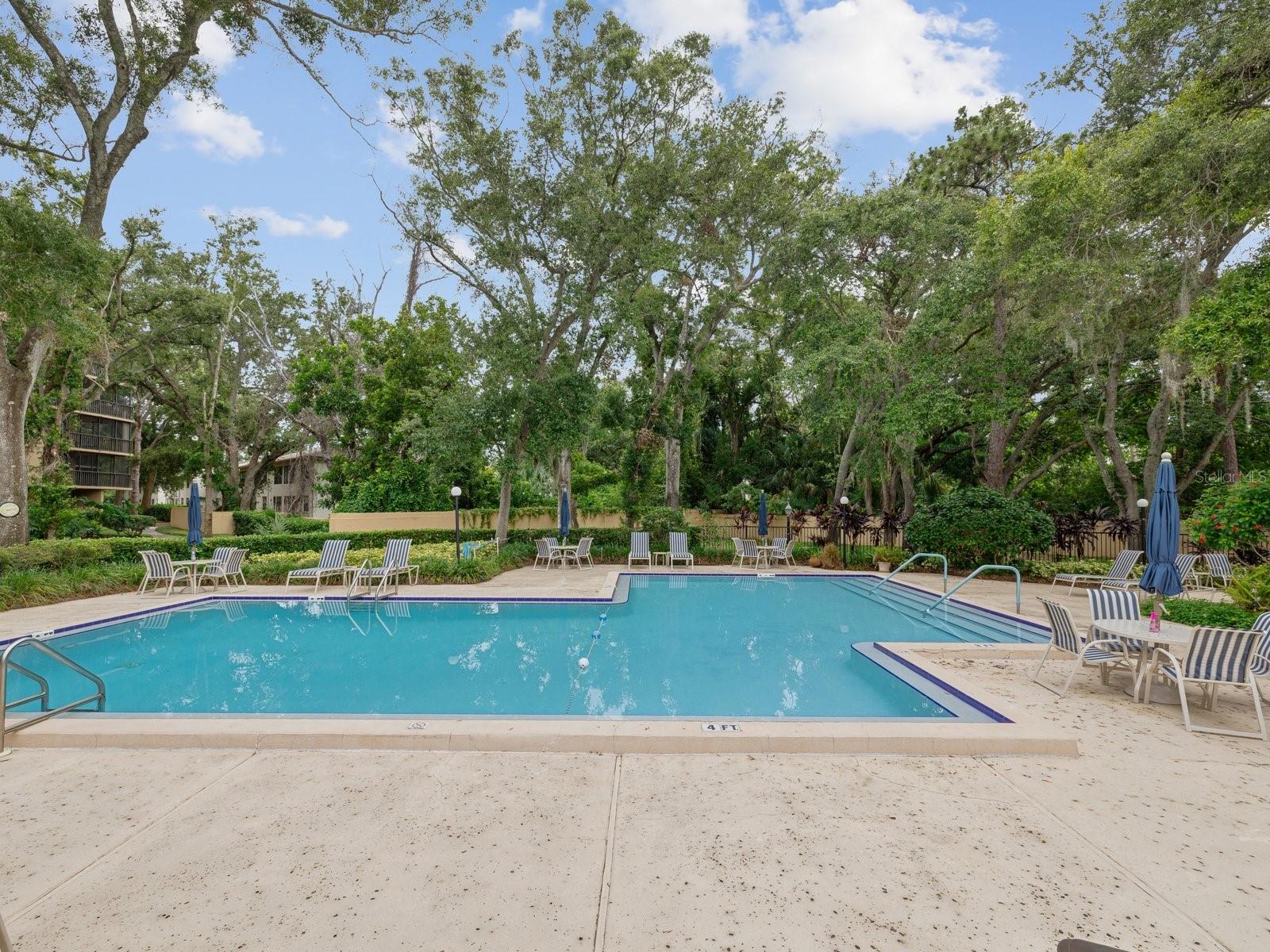 3076 EASTLAND BLVD #210, CLEARWATER, FL — photo 39