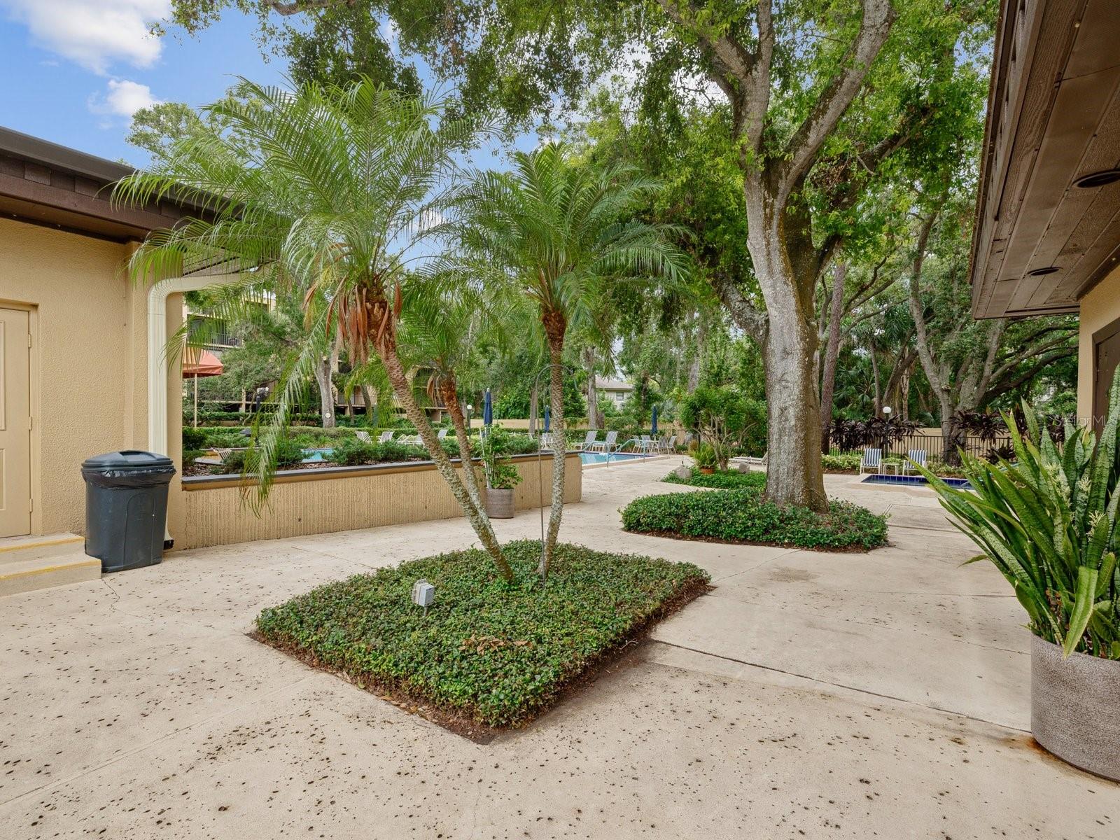 3076 EASTLAND BLVD #210, CLEARWATER, FL — photo 40