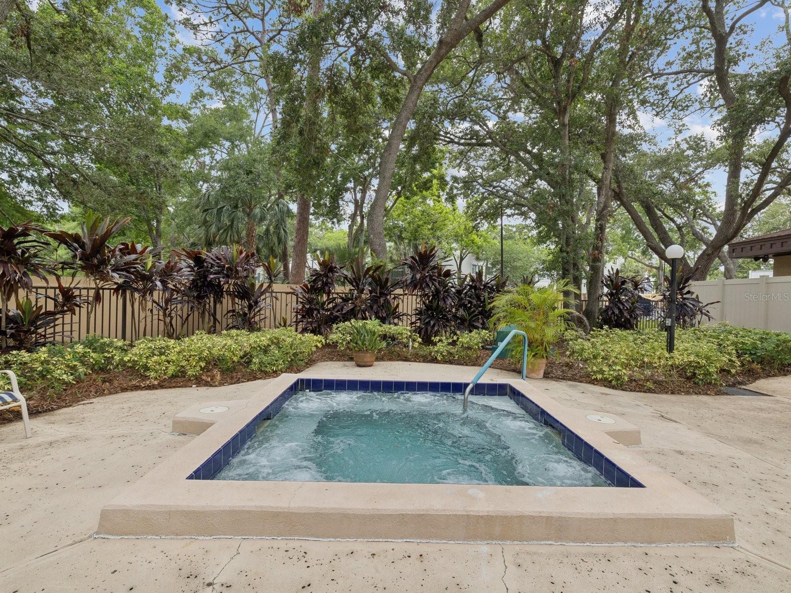 3076 EASTLAND BLVD #210, CLEARWATER, FL — photo 43