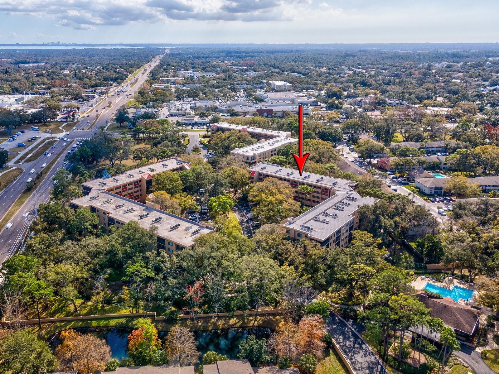 3076 EASTLAND BLVD #210, CLEARWATER, FL — photo 57