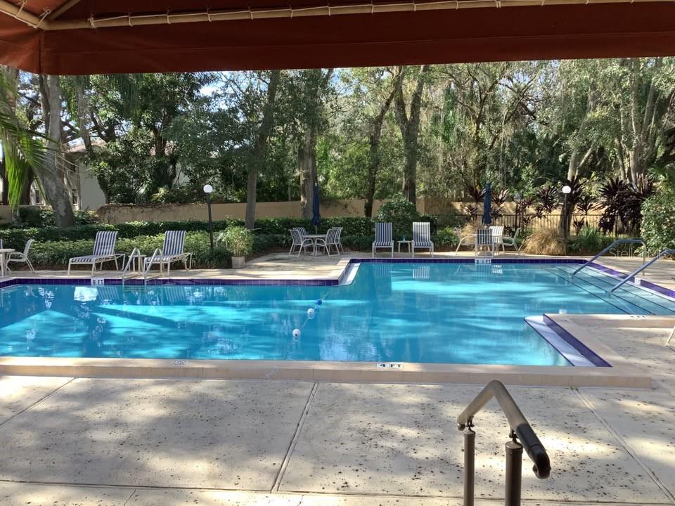 3076 EASTLAND BLVD #210, CLEARWATER, FL — photo 60