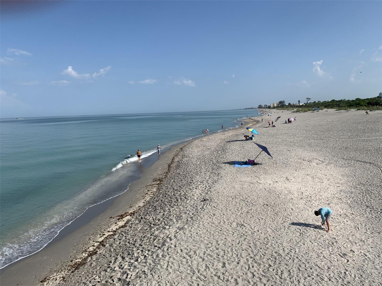 519 ALBEE FARM RD #214, VENICE, FL — photo 32