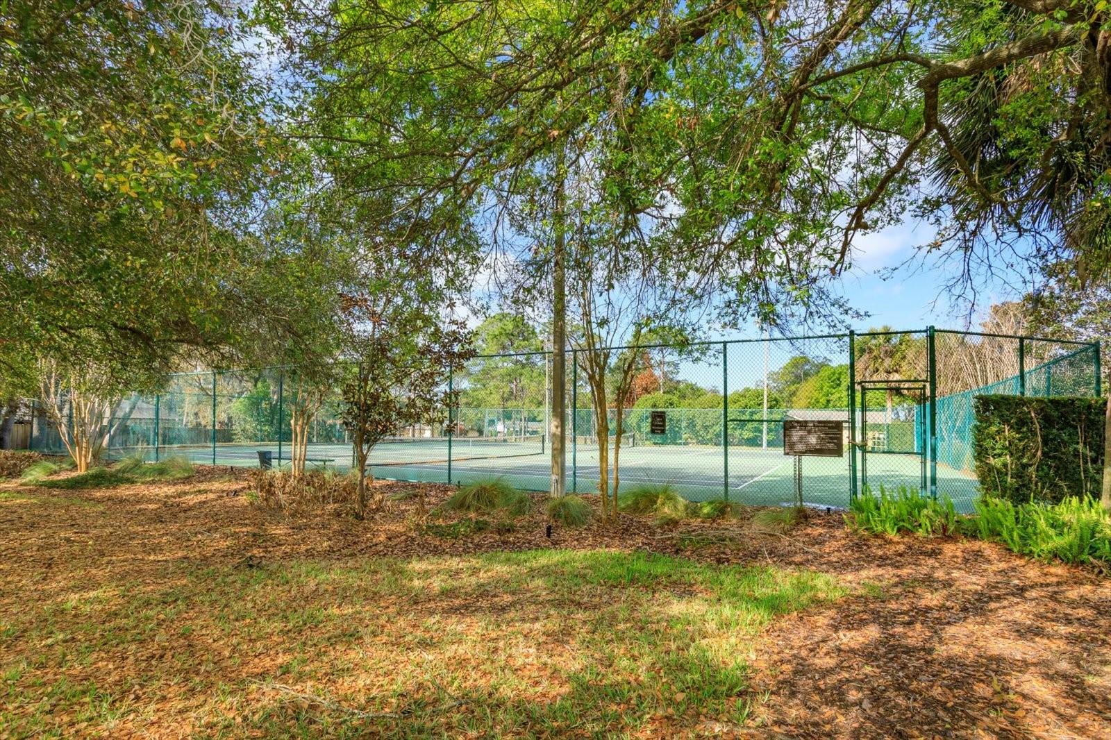 9237 SABAL PALM CIR, WINDERMERE, FL — photo 43