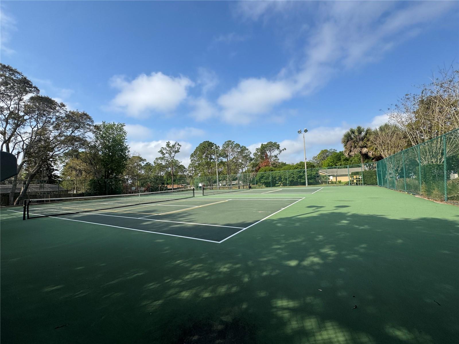 9237 SABAL PALM CIR, WINDERMERE, FL — photo 44