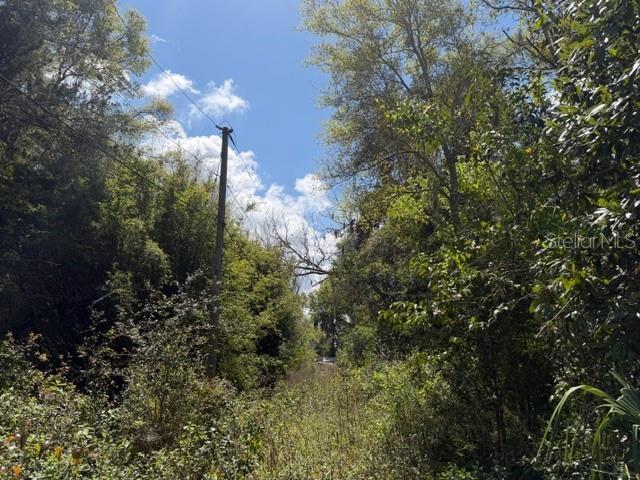 DOC KARELAS DRIVE, NEWBERRY, FL — photo 5