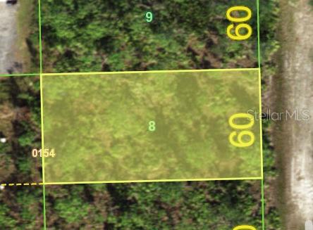 12293 CAMPHOR DR, PUNTA GORDA, FL — photo 2