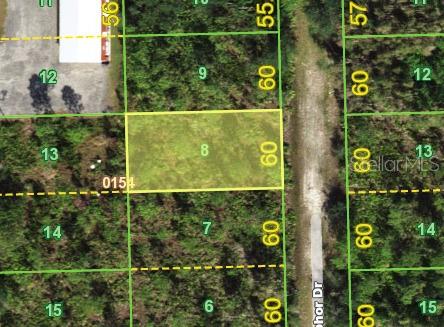 12293 CAMPHOR DR, PUNTA GORDA, FL — photo 6