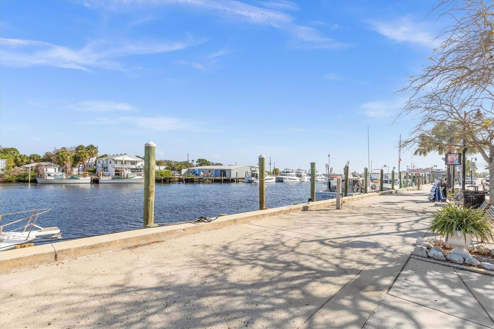 1250 S PINELLAS AVE #214, TARPON SPRINGS, FL — photo 37