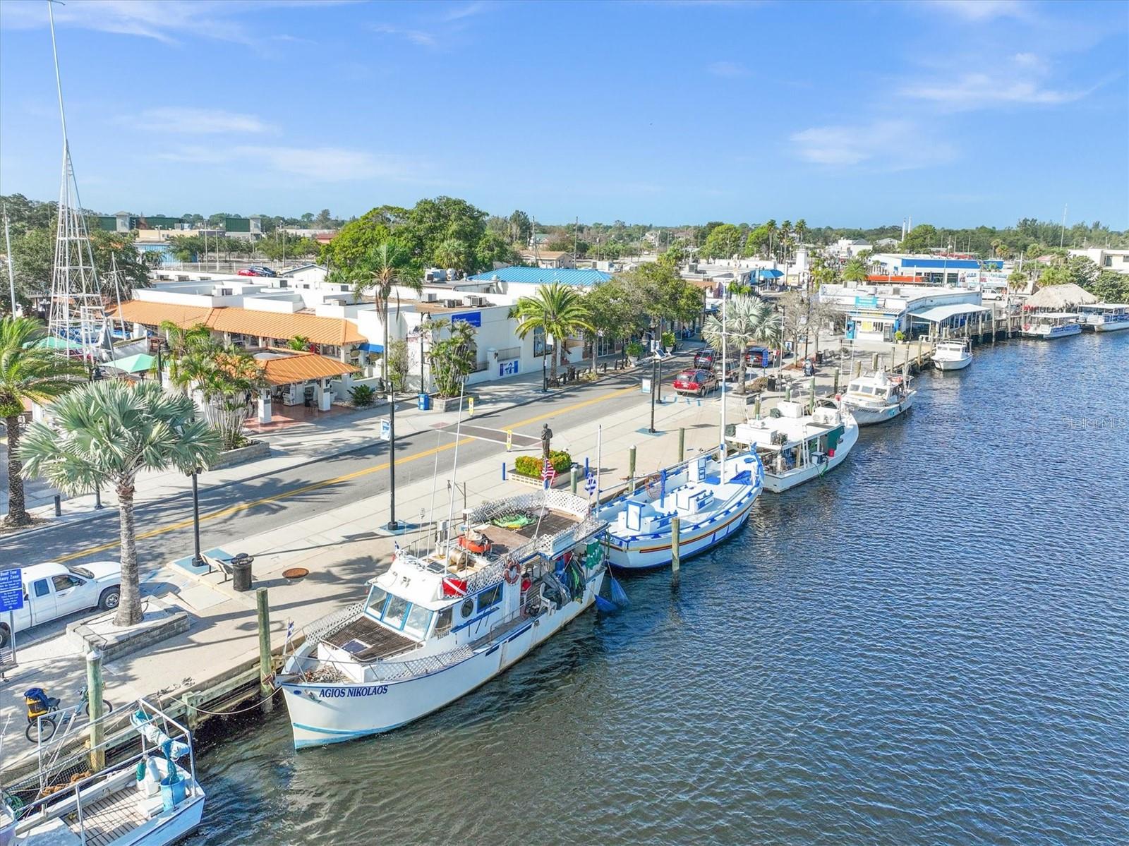 1250 S PINELLAS AVE #214, TARPON SPRINGS, FL — photo 40