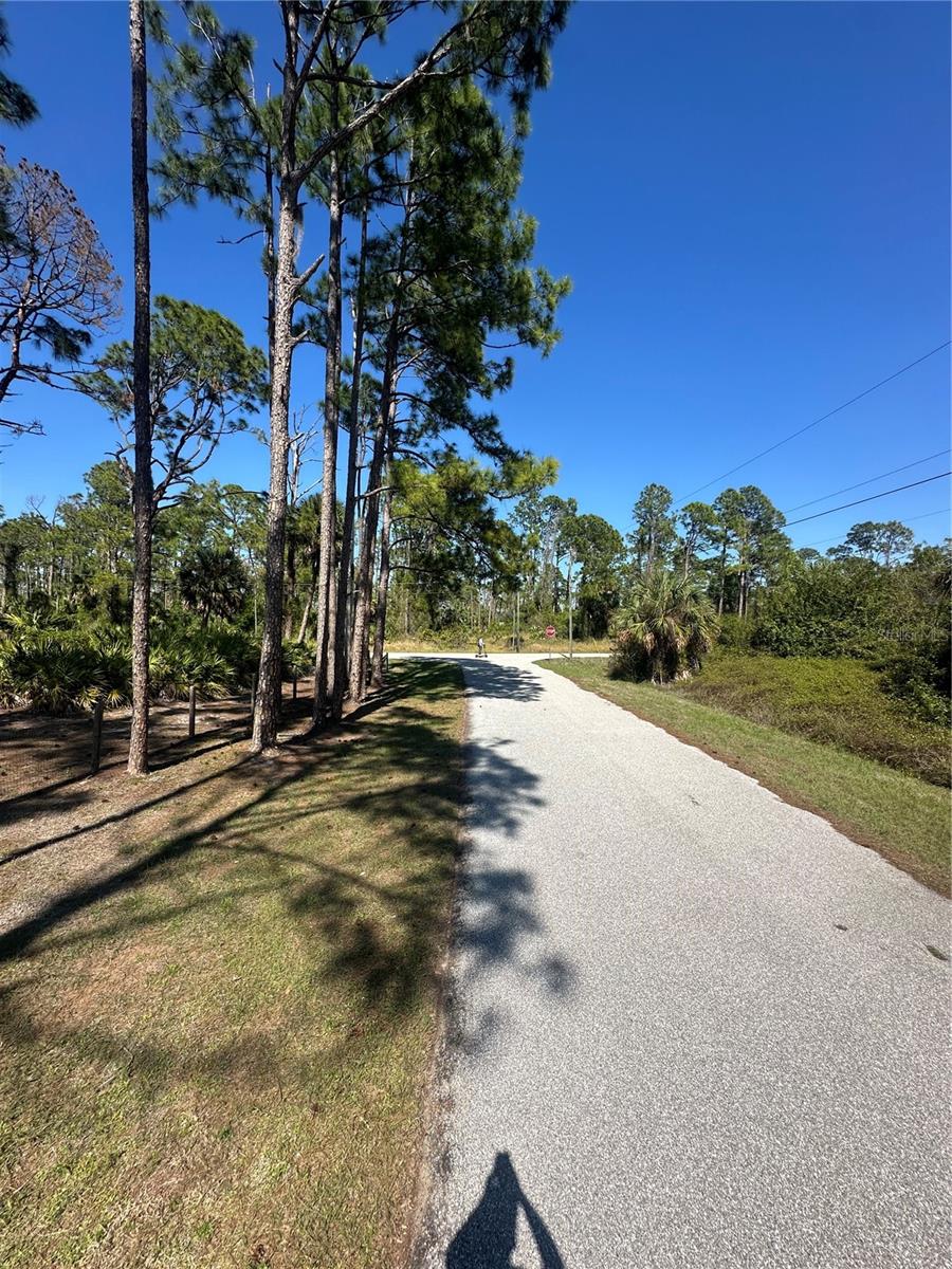 PINEWOOD ST, NORTH PORT, FL — photo 8