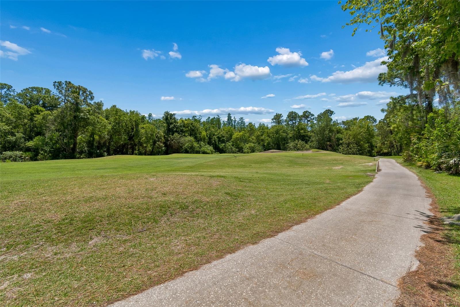 10423 GREENHEDGES DR, TAMPA, FL — photo 61