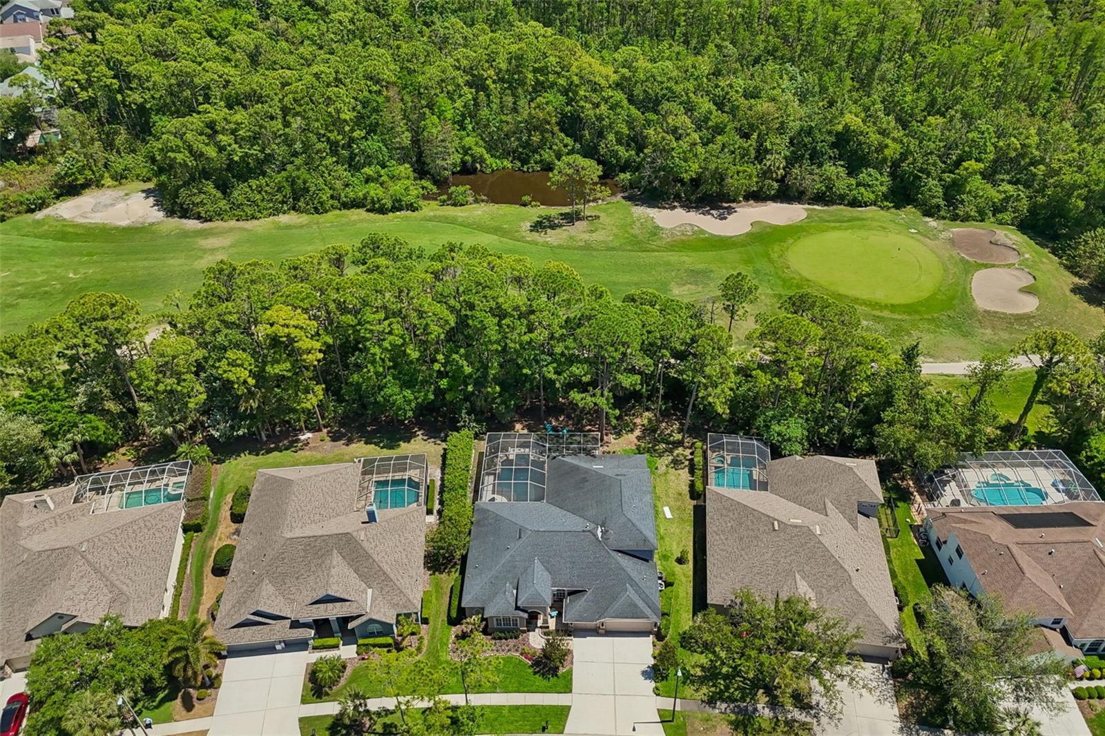 10423 GREENHEDGES DR, TAMPA, FL — photo 65
