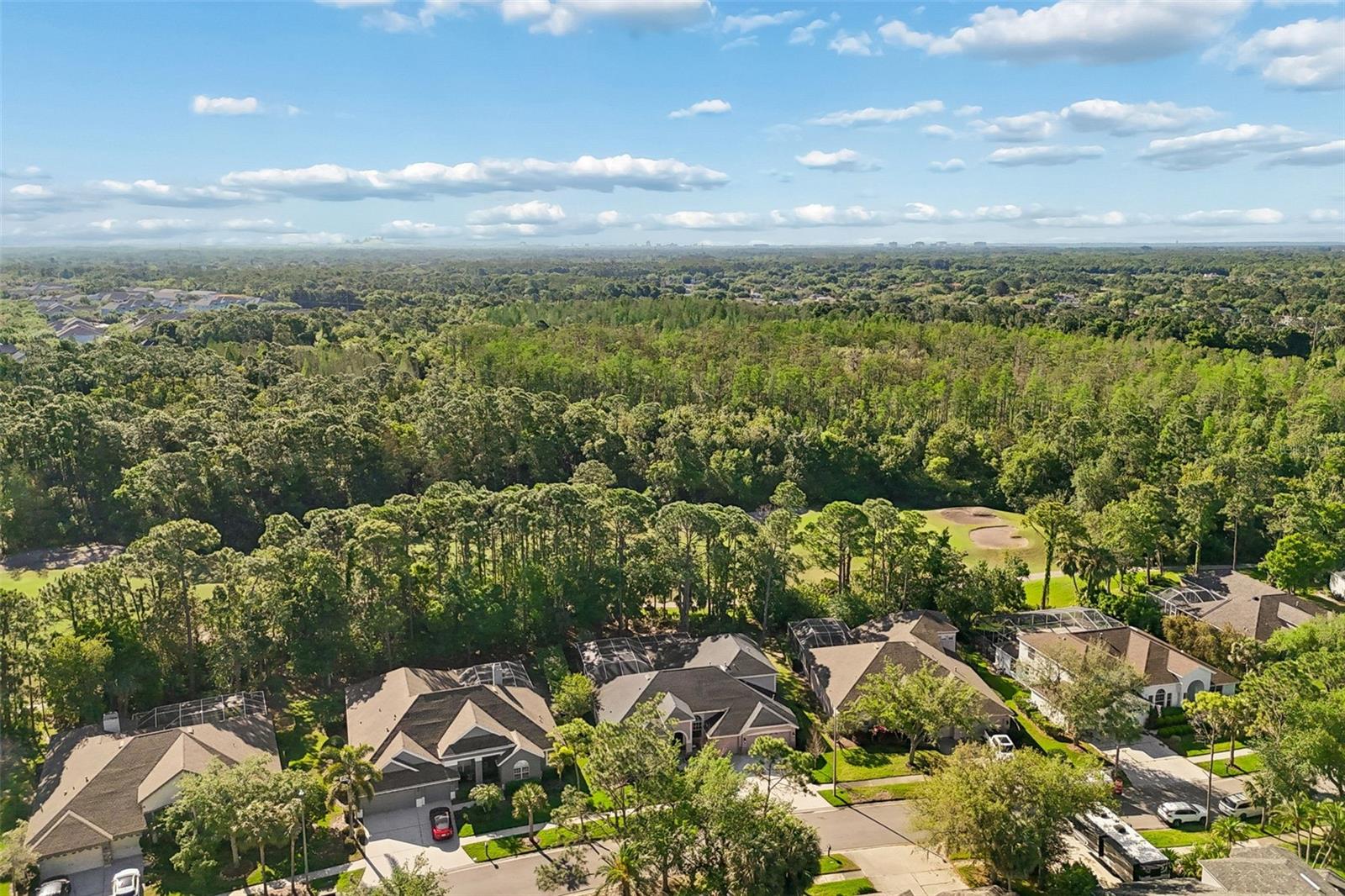 10423 GREENHEDGES DR, TAMPA, FL — photo 73