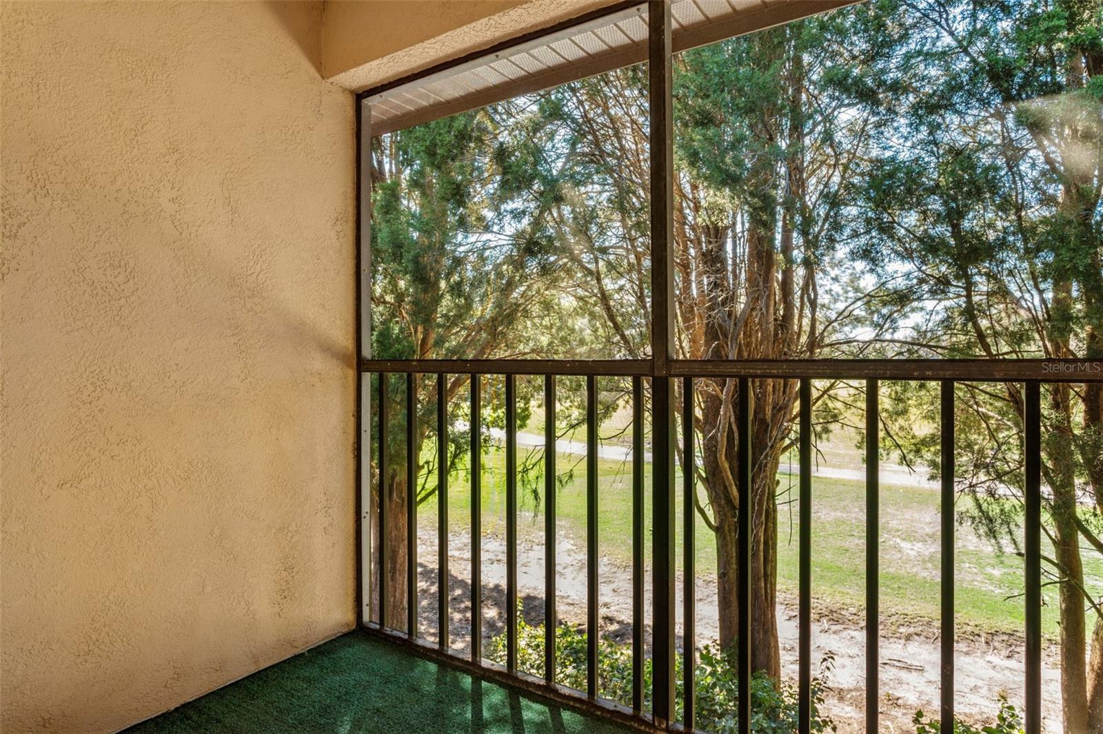 14902 PAR CLUB CIR, TAMPA, FL — photo 21