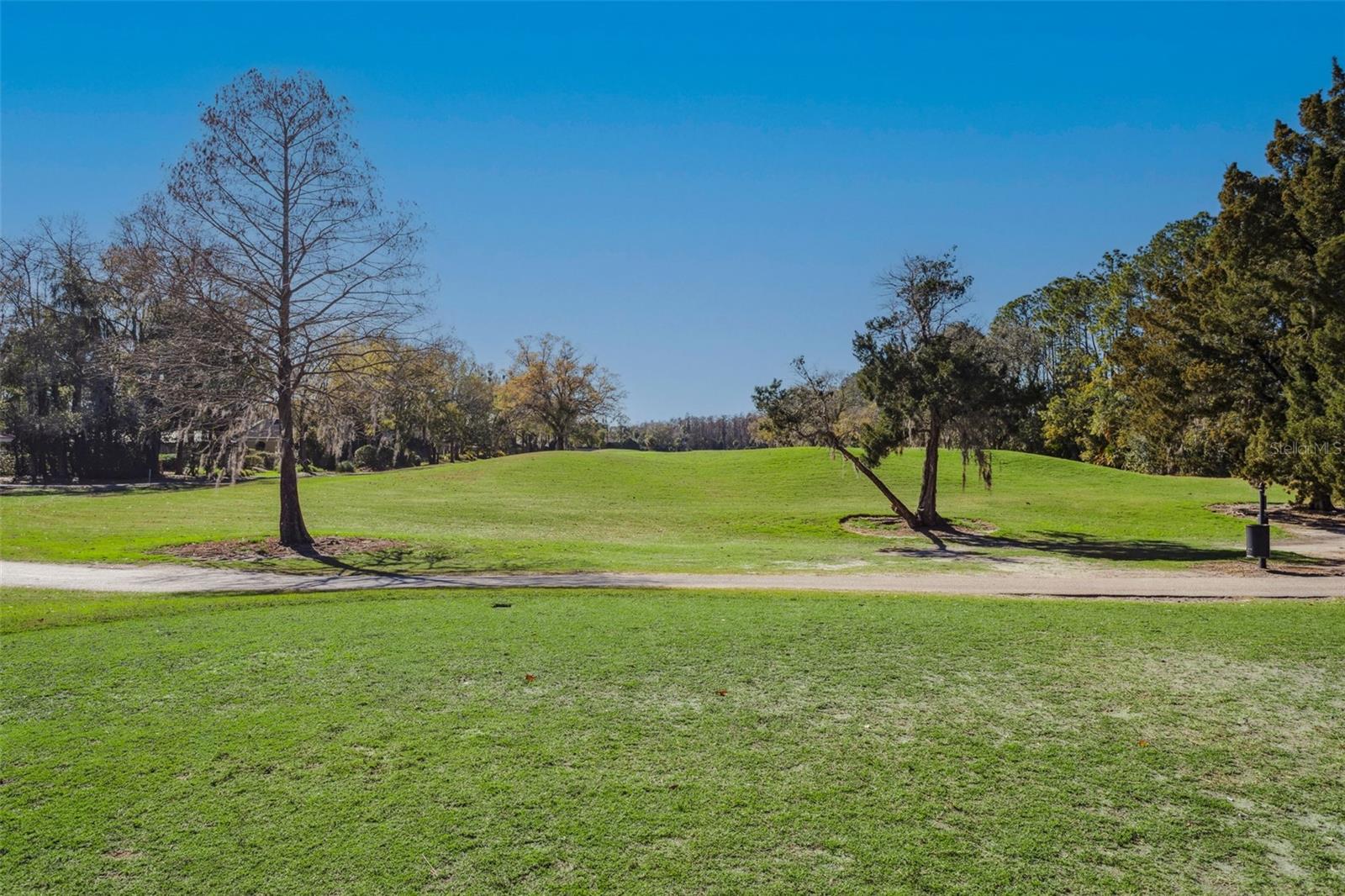 14902 PAR CLUB CIR, TAMPA, FL — photo 24