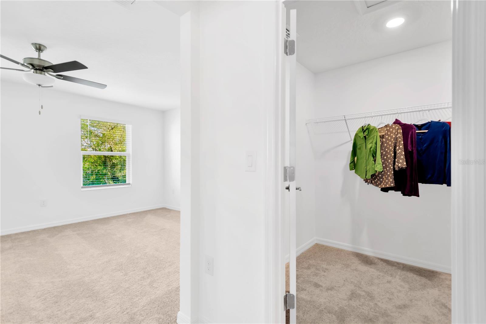 6032 SHINER ST, LAND O LAKES, FL — photo 29