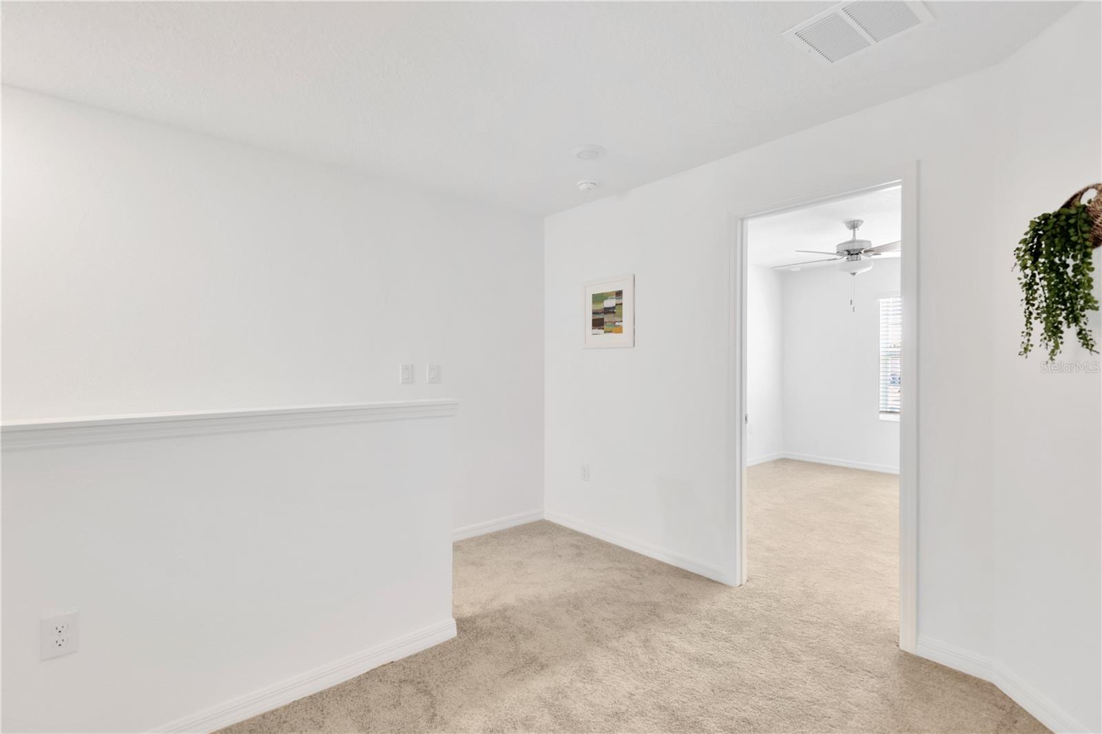 6032 SHINER ST, LAND O LAKES, FL — photo 48