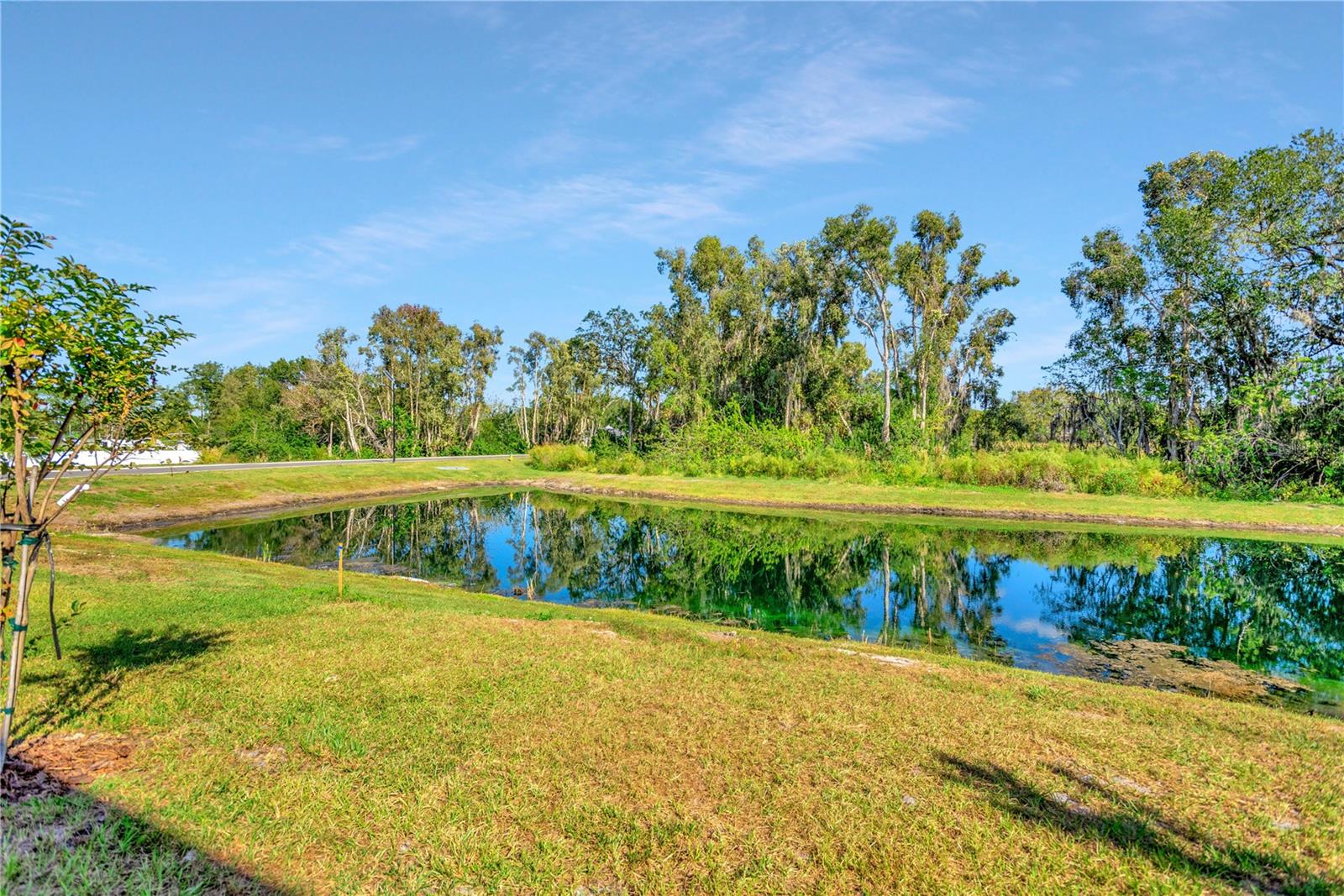 6032 SHINER ST, LAND O LAKES, FL — photo 52