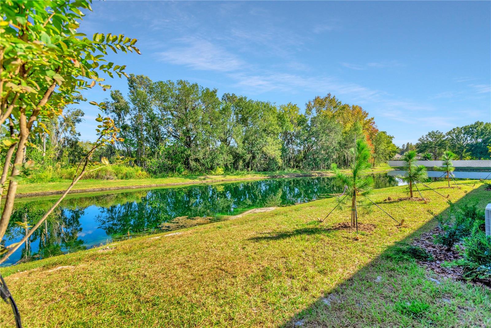 6032 SHINER ST, LAND O LAKES, FL — photo 53