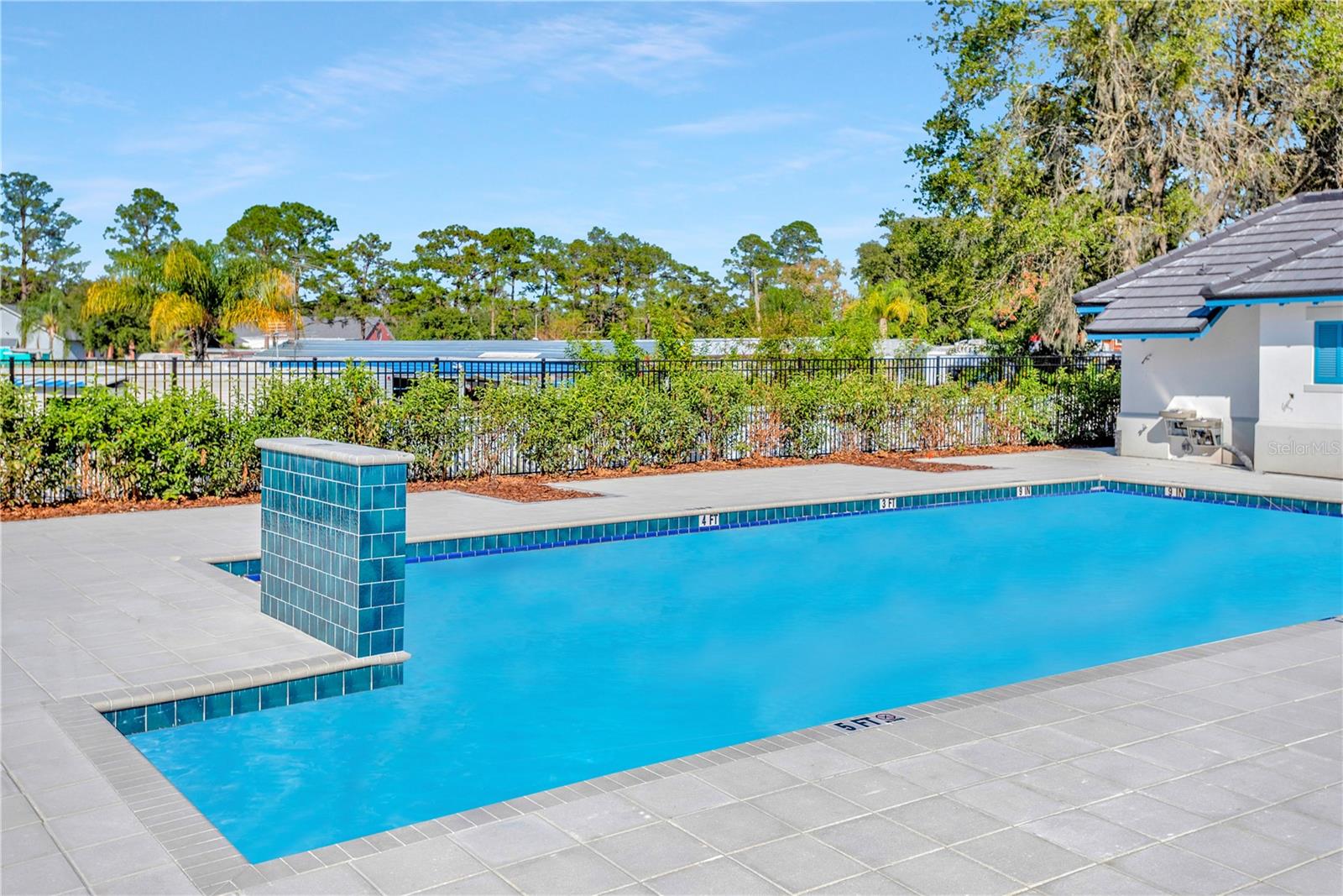 6032 SHINER ST, LAND O LAKES, FL — photo 57