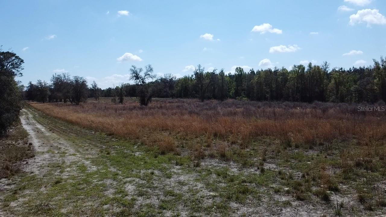 000 SW LANGELIER, FORT WHITE, FL — photo 18