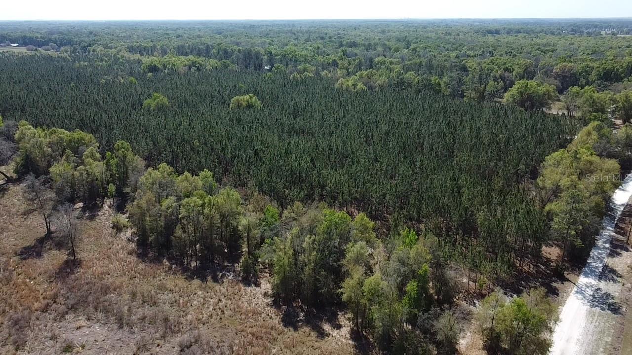 000 SW LANGELIER, FORT WHITE, FL — photo 21