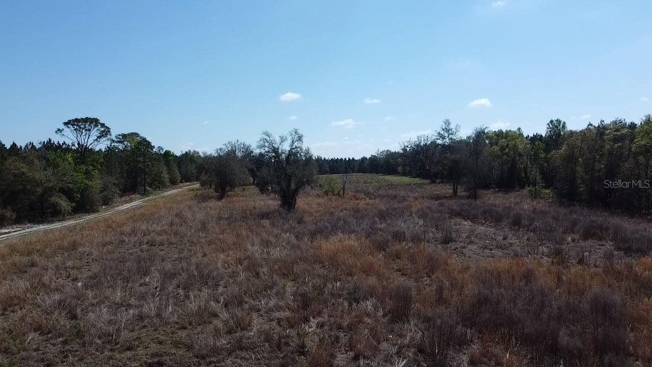 000 SW LANGELIER, FORT WHITE, FL — photo 22