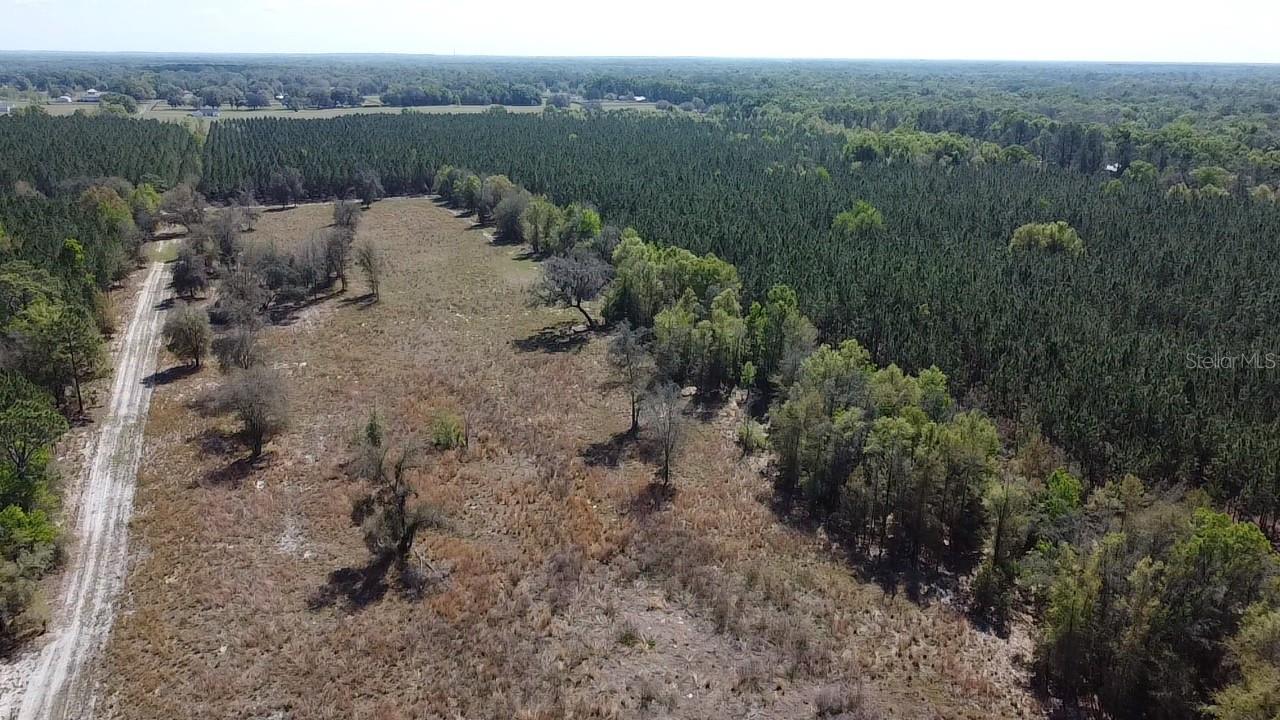 000 SW LANGELIER, FORT WHITE, FL — photo 23