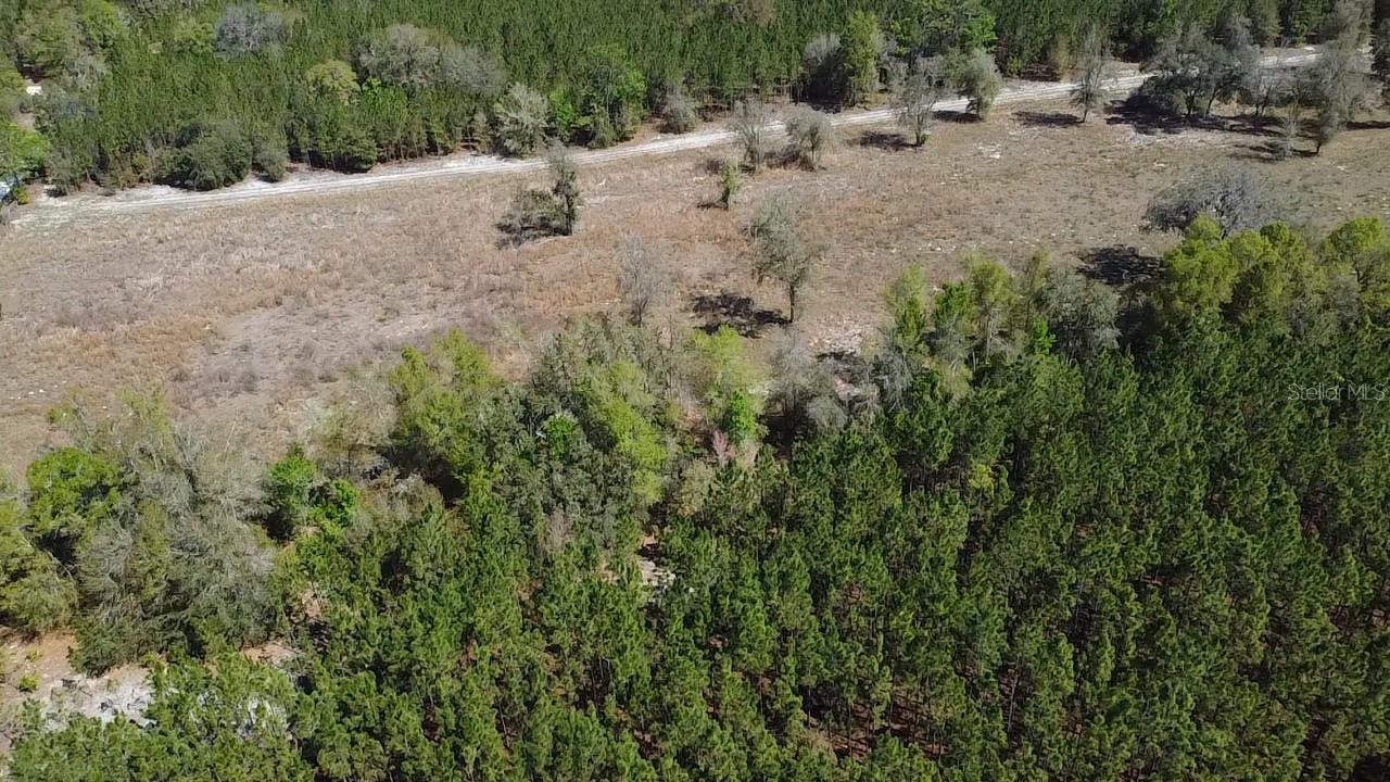 000 SW LANGELIER, FORT WHITE, FL — photo 24