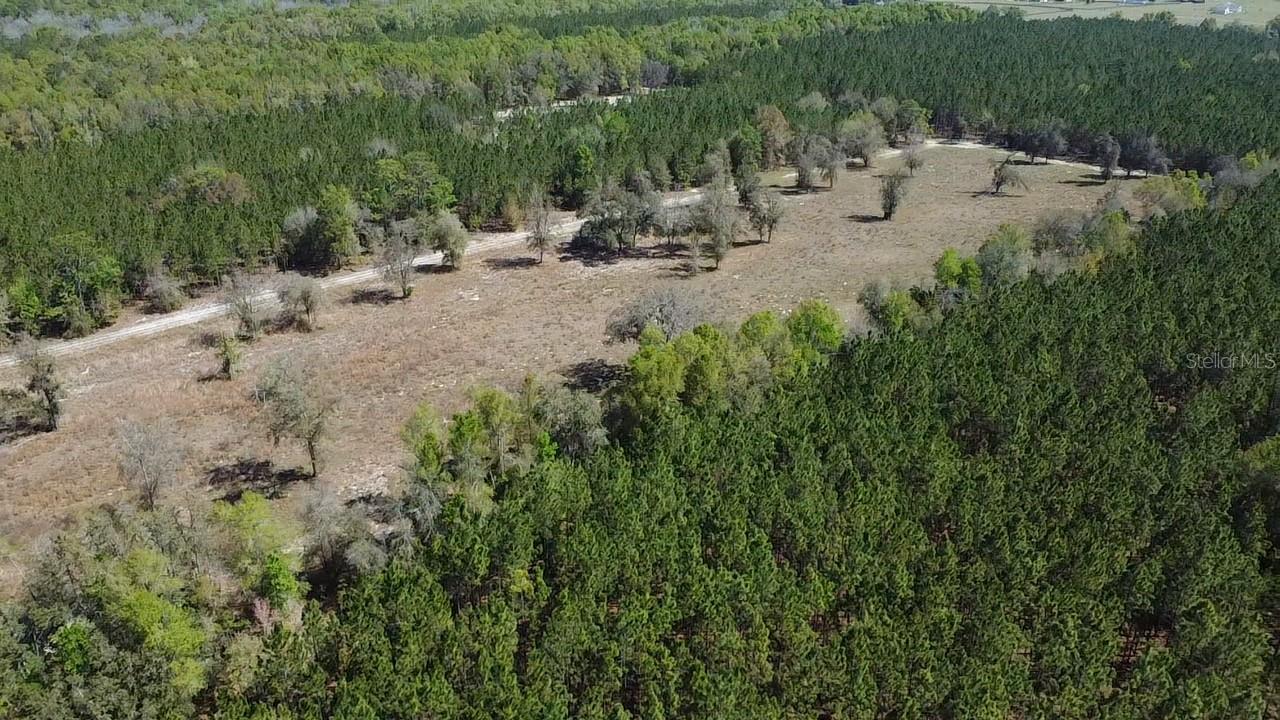 000 SW LANGELIER, FORT WHITE, FL — photo 26