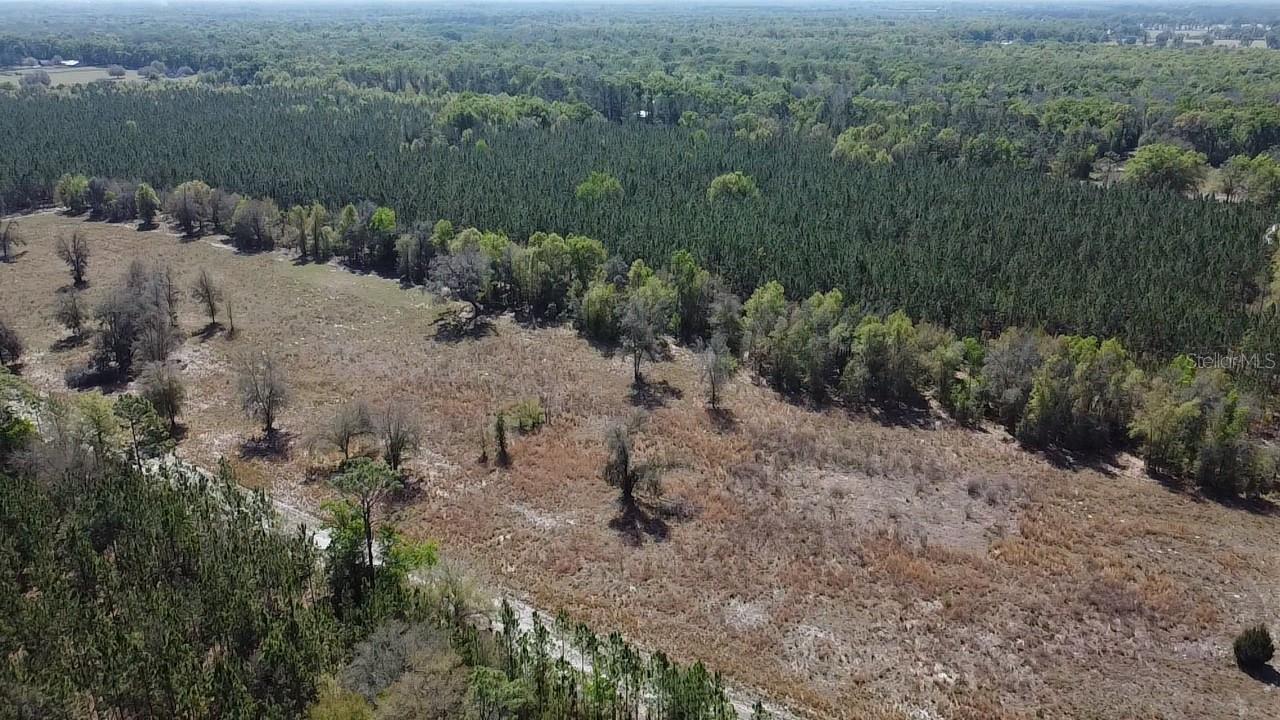 000 SW LANGELIER, FORT WHITE, FL — photo 27