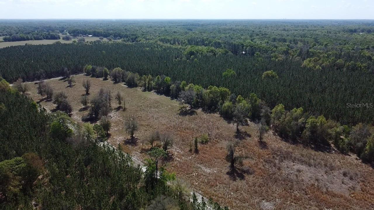 000 SW LANGELIER, FORT WHITE, FL — photo 3