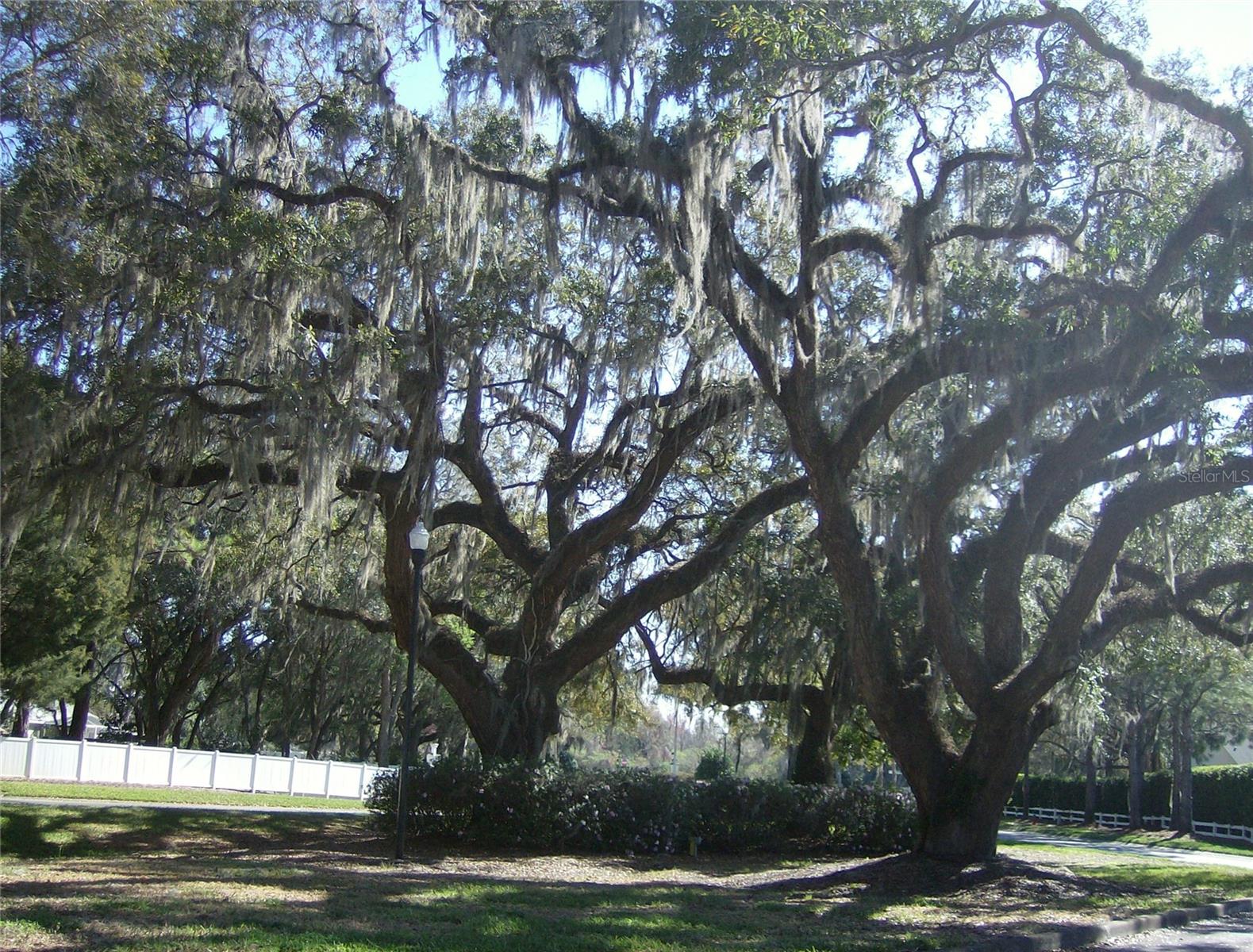 1907 TWEED CT, LEESBURG, FL — photo 99