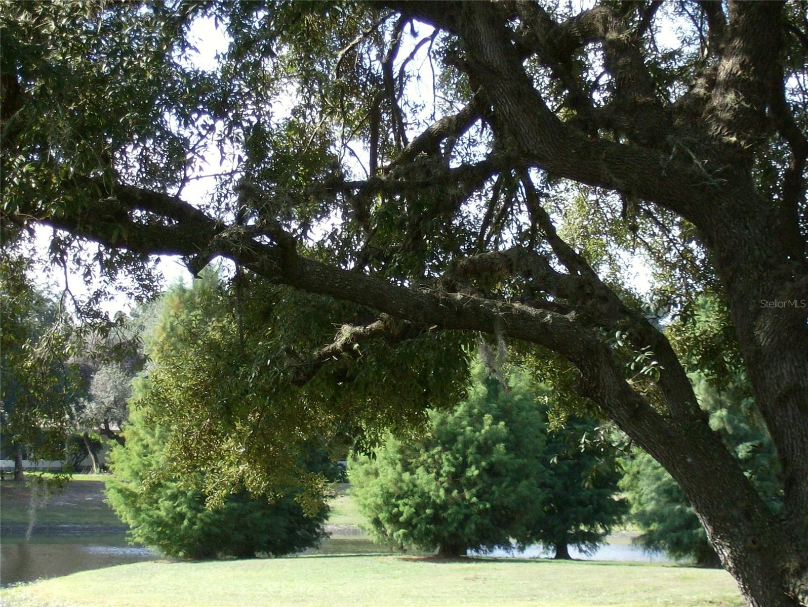 1907 TWEED CT, LEESBURG, FL — photo 110